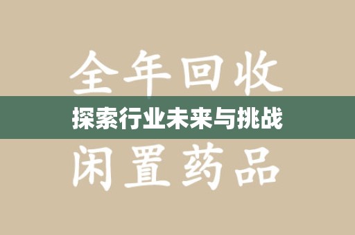 中山探索行业未来与挑战