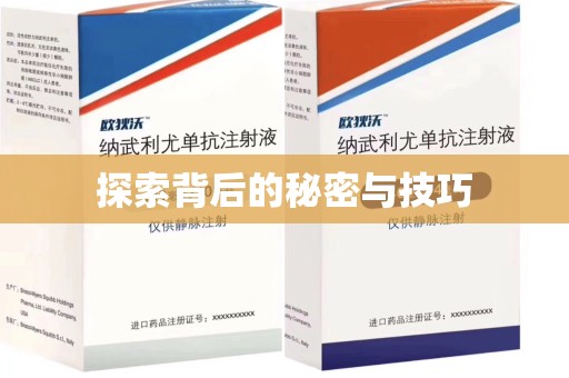 中山探索背后的秘密与技巧