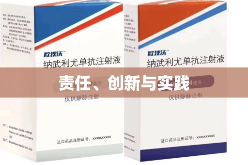 中山责任、创新与实践