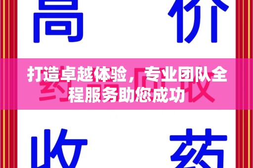 中山打造卓越体验，专业团队全程服务助您成功