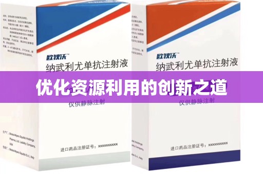 中山优化资源利用的创新之道