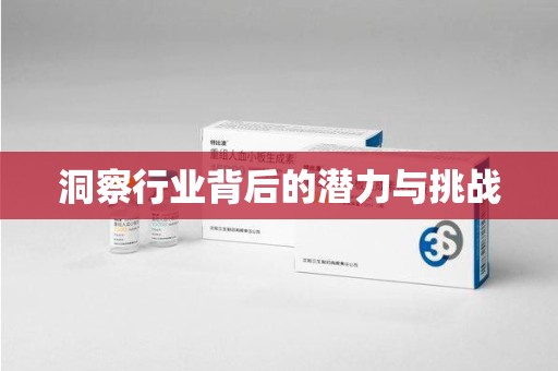 中山洞察行业背后的潜力与挑战