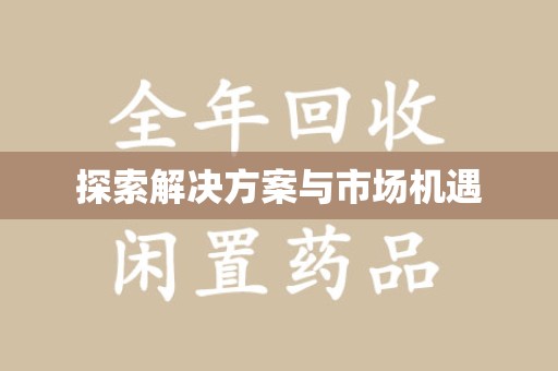 中山探索解决方案与市场机遇