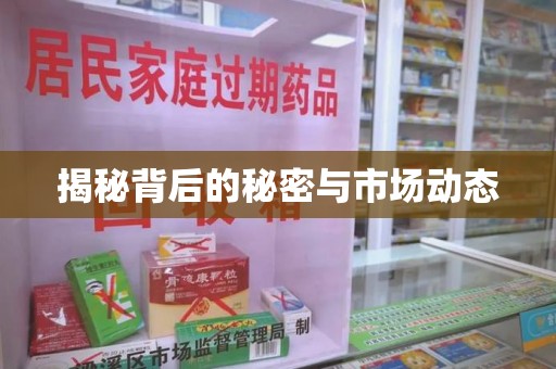 中山揭秘背后的秘密与市场动态